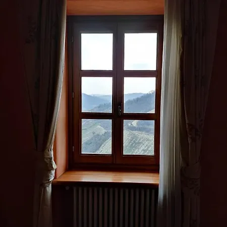 Foresteria Ristorante Conti Roero 4* Monticello d'Alba