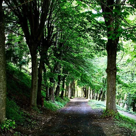 Foresteria Ristorante Conti Roero Bed & Breakfast Monticello d'Alba