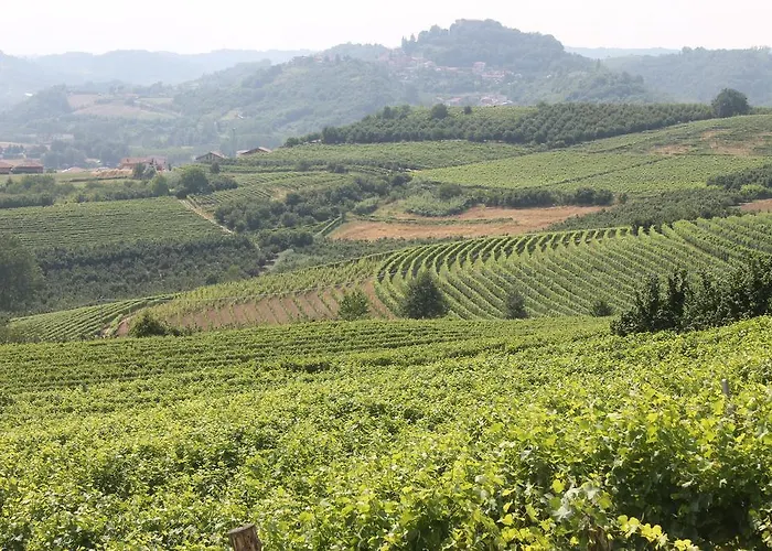 Foresteria Ristorante Conti Roero Monticello d'Alba